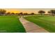 Golf course path with lush green grass and sunset view at 3867 W Emma Ct, Florence, AZ 85132