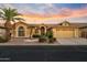 Tan stucco house with tile roof, palm trees, and a two-car garage at 3533 N 159Th Ln, Goodyear, AZ 85395