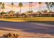 View of a golf course with palm trees and residential homes in the background at 3533 N 159Th Ln, Goodyear, AZ 85395