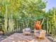 Landscaped backyard with cacti, stone patio, and comfortable seating at 6240 N 59Th Pl, Paradise Valley, AZ 85253