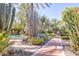 Landscaped gardens with cacti, olive trees, and a pathway at 6240 N 59Th Pl, Paradise Valley, AZ 85253