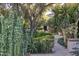 Landscaped pathway with various plants and a view of the house at 6240 N 59Th Pl, Paradise Valley, AZ 85253