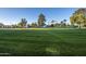 Peaceful green space adjacent to a golf course at 7860 E Camelback Rd # 209, Scottsdale, AZ 85251