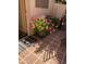 Small patio with blooming potted plants at 17937 W Weatherby Dr, Surprise, AZ 85374