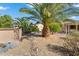 Landscaped backyard with gravel, a palm tree and desert plants at 16938 W Desert Rose Ln, Surprise, AZ 85387