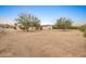 Large backyard with mature trees, providing ample space and privacy at 2221 E Joy Ranch Rd, Phoenix, AZ 85086