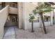 Condo building exterior with walkway and landscaping at 7009 E Acoma Dr # 1105, Scottsdale, AZ 85254