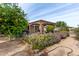 Relaxing backyard with covered patio, lush landscaping, and mature fruit trees at 9402 W Briarwood N Cir, Sun City, AZ 85351