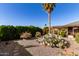 Landscaped side yard with gravel, mature shrubs, and a cactus garden at 9507 W Spanish Moss Ln, Sun City, AZ 85373