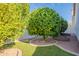 Landscaped backyard with mature trees and garden at 1828 N Sunview N --, Mesa, AZ 85205