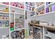 Well-organized pantry with ample shelving for storage at 21121 E Marsh Rd, Queen Creek, AZ 85142