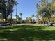 Verrado Golf Club entrance with lush green lawn and palm trees at 21354 W Minnezona Ave, Buckeye, AZ 85396