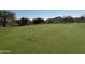 Putting green with multiple golf balls and flags at 21354 W Minnezona Ave, Buckeye, AZ 85396