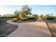 Curving concrete pathway meanders through a desert landscape with native plants at 29411 N 123Rd Ln, Peoria, AZ 85383