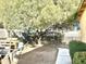 Large backyard with mature tree and fence at 404 E Paseo De Isabella --, Casa Grande, AZ 85122