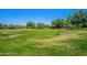 Expansive green space perfect for recreation and relaxation at 29381 N 123Rd Ave, Peoria, AZ 85383