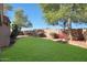 Spacious grassy backyard with mountain views at 2946 E Quiet Hollow Ln, Phoenix, AZ 85024