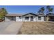 Charming single story home with a well-maintained front yard at 1436 E Downing St, Mesa, AZ 85203