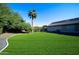 Landscaped backyard with lush grass and a palm tree at 3612 E Powell Way, Gilbert, AZ 85298