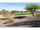 Scenic view of a golf course with homes in the background at 27238 W Mohawk Ln, Buckeye, AZ 85396