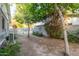 Small backyard area with mature trees at 819 W Solano Dr, Phoenix, AZ 85013