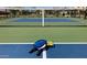 Well maintained pickleball court with paddles and balls at 2005 W Trotter Trl, Phoenix, AZ 85085