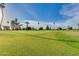 Green grass and palm trees on the golf course at 13687 N Garden Court Dr, Sun City, AZ 85351