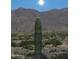 Scenic mountain view with a saguaro cactus in the foreground at 8424 N 194Th Dr, Waddell, AZ 85355