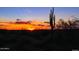 Sunset view with saguaro cacti in the desert at 20236 W Highland Ave, Litchfield Park, AZ 85340