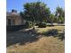 Landscaped backyard featuring a large grapefruit tree at 10103 W Forrester Dr, Sun City, AZ 85351