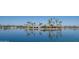 Scenic waterfront view with lush landscaping and palm trees at 10103 W Forrester Dr, Sun City, AZ 85351