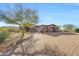 Beautiful desert landscape surrounds this single-story home with a large driveway and attached garage at 24686 N 120Th Pl, Scottsdale, AZ 85255