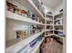 Well-organized pantry with ample shelving for storage at 24686 N 120Th Pl, Scottsdale, AZ 85255