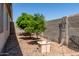 Backyard with two citrus trees, gravel ground cover, and decorative planters at 10719 E Lupine Ln, Florence, AZ 85132