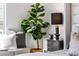 Main bedroom detail; nightstand with lamp and plant at 4220 N 32Nd St # 3, Phoenix, AZ 85018
