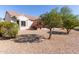 Landscaped backyard with desert plants and trees at 15137 W Cactus Ridge Way, Surprise, AZ 85374