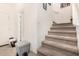 Carpeted staircase leading to the upper level at 3702 E Dogwood Dr, Chandler, AZ 85286