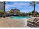 Community pool with lounge chairs and a palm tree backdrop at 4141 E Pony Ln, Gilbert, AZ 85295