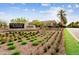 Landscaped entrance to Desert Ridge Marketplace at 5833 E Ringtail Way, Phoenix, AZ 85054