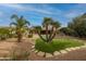 Landscaped backyard with a unique palm tree arrangement at 18228 N San Salvador Ct, Surprise, AZ 85374