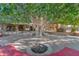 Large backyard with fire pit and mature shade tree at 2181 E La Vieve Ln, Tempe, AZ 85284