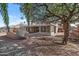 Landscaped backyard with a large tree and gravel pathway at 15708 W Whitewood Dr, Sun City West, AZ 85375