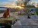 Golden retriever and Bernese Mountain dog in a spacious backyard with farm animals at 26639 N 132Nd St, Scottsdale, AZ 85262