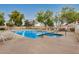 Community pool and spa with lounge chairs and surrounding landscaping at 8867 N 48Th Dr, Glendale, AZ 85302