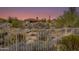 View of backyard through a metal fence, showing desert landscape and house in distance at 10542 E Skinner Dr, Scottsdale, AZ 85262
