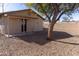 Backyard with gravel ground cover, a covered patio, and a mature tree providing shade at 1146 E 6Th St, Casa Grande, AZ 85122