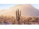 Scenic desert landscape with saguaro cacti and mountains in the background at 15612 S Tuthill Rd, Buckeye, AZ 85326