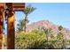 Stunning mountain views from the backyard at 4620 E Montecito Ave, Phoenix, AZ 85018
