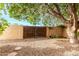 Private backyard with a gated entry, mature tree, and gravel landscaping at 418 W Bentrup St, Chandler, AZ 85225