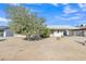 Ranch style home with a tree and well-maintained yard at 780 W Monterey St, Chandler, AZ 85225